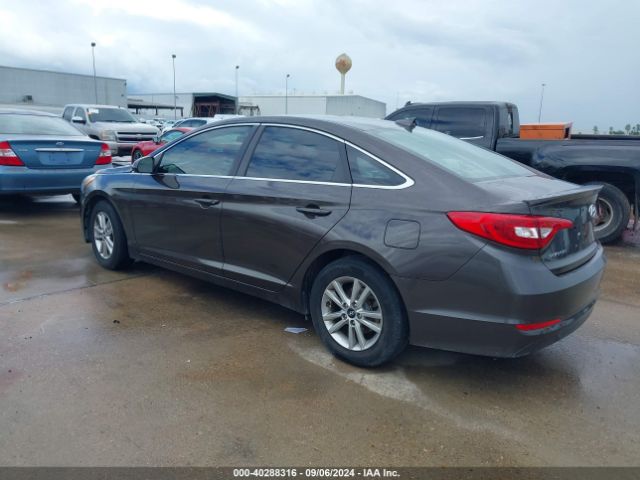 Photo 2 VIN: 5NPE24AF1HH563566 - HYUNDAI SONATA 