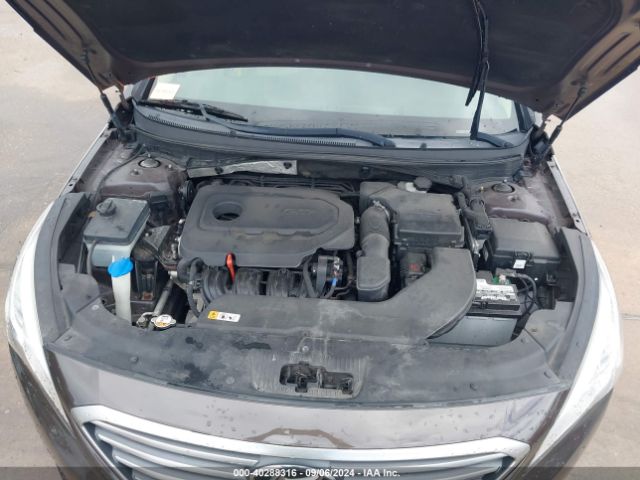 Photo 9 VIN: 5NPE24AF1HH563566 - HYUNDAI SONATA 