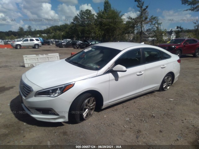 Photo 1 VIN: 5NPE24AF1HH566337 - HYUNDAI SONATA 