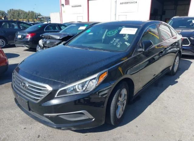 Photo 5 VIN: 5NPE24AF1HH576723 - HYUNDAI SONATA 