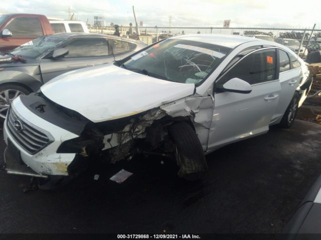 Photo 1 VIN: 5NPE24AF1HH591707 - HYUNDAI SONATA 