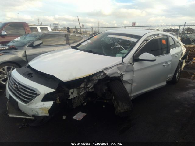 Photo 5 VIN: 5NPE24AF1HH591707 - HYUNDAI SONATA 