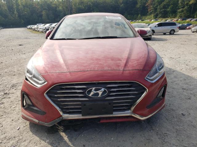 Photo 4 VIN: 5NPE24AF1JH605952 - HYUNDAI SONATA SE 