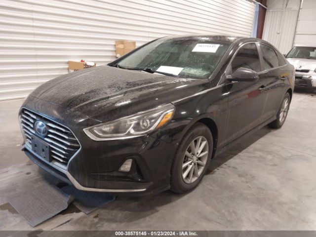 Photo 1 VIN: 5NPE24AF1JH615994 - HYUNDAI SONATA 