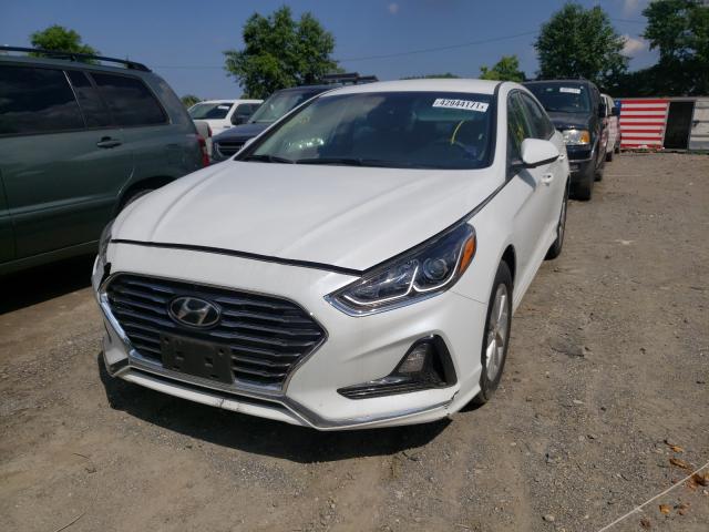 Photo 1 VIN: 5NPE24AF1JH668355 - HYUNDAI SONATA SE 