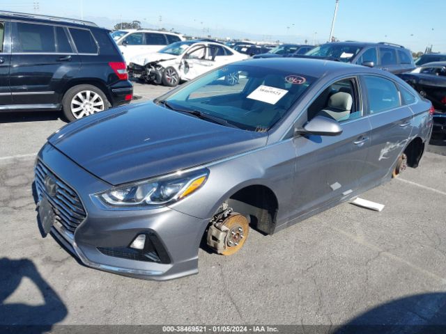 Photo 1 VIN: 5NPE24AF1JH668369 - HYUNDAI SONATA 