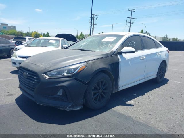 Photo 1 VIN: 5NPE24AF1KH754590 - HYUNDAI SONATA 