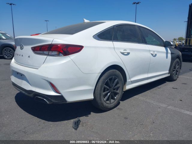 Photo 3 VIN: 5NPE24AF1KH754590 - HYUNDAI SONATA 