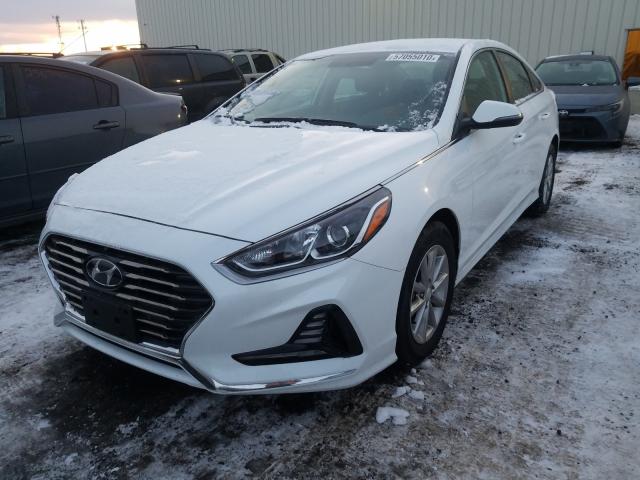 Photo 1 VIN: 5NPE24AF1KH769039 - HYUNDAI SONATA SE 