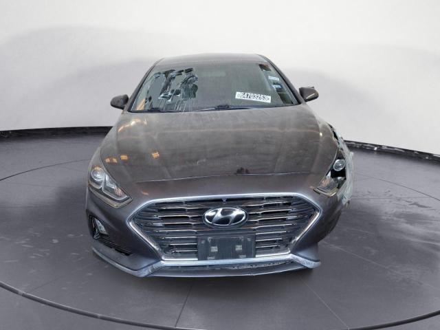 Photo 4 VIN: 5NPE24AF1KH772877 - HYUNDAI SONATA SE 