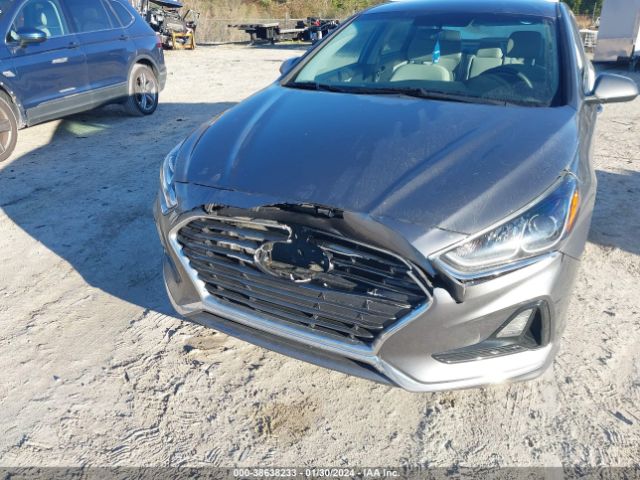 Photo 5 VIN: 5NPE24AF1KH796547 - HYUNDAI SONATA 