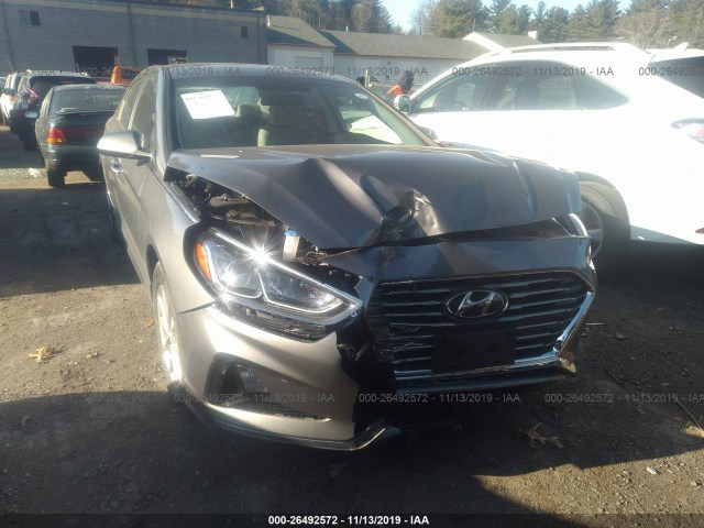 Photo 5 VIN: 5NPE24AF1KH804842 - HYUNDAI SONATA 