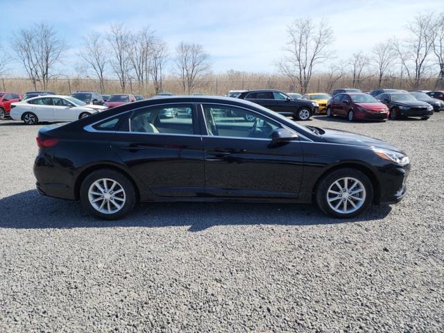 Photo 10 VIN: 5NPE24AF1KH813864 - HYUNDAI SONATA SE 