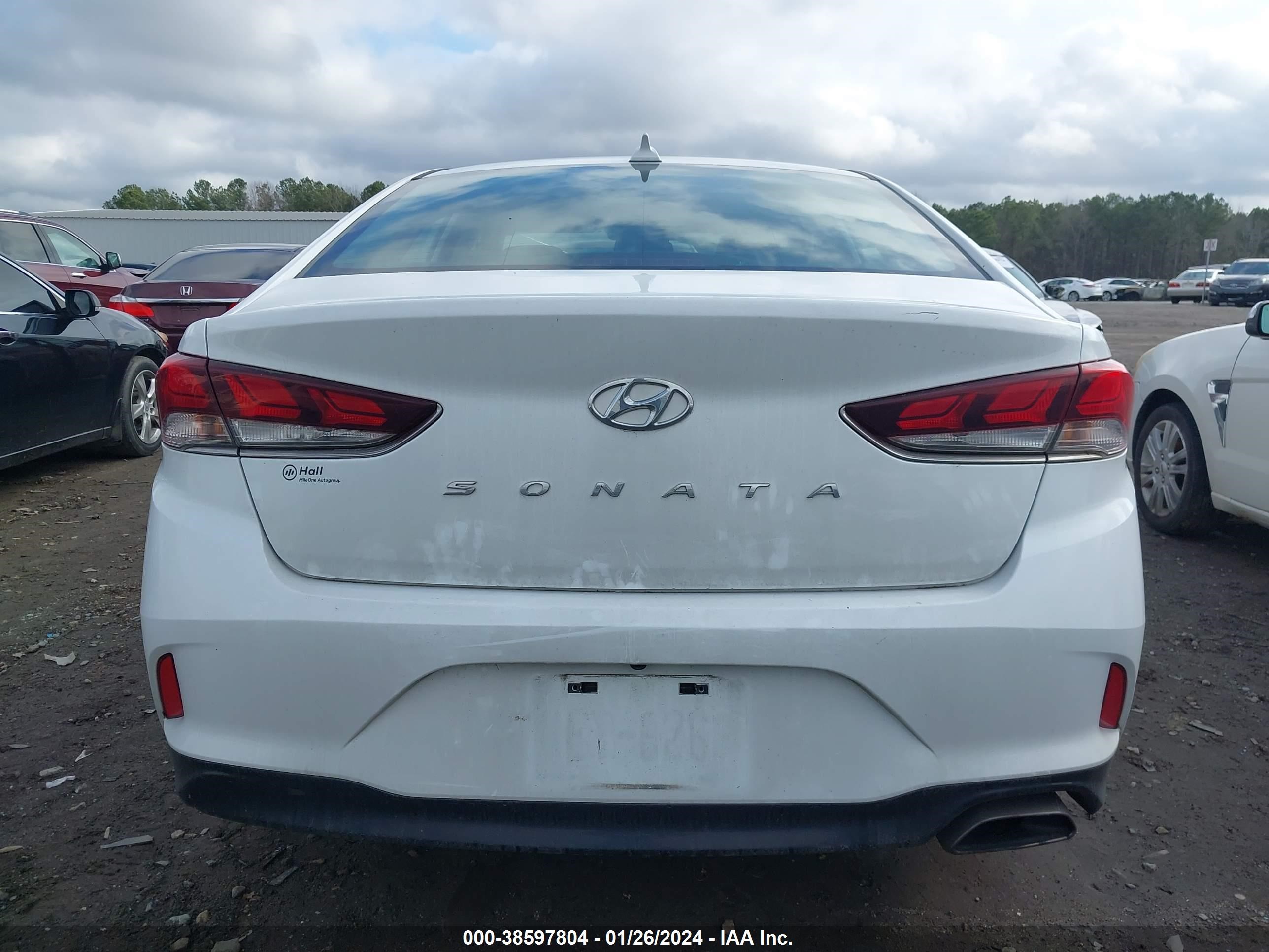 Photo 15 VIN: 5NPE24AF1KH815615 - HYUNDAI SONATA 