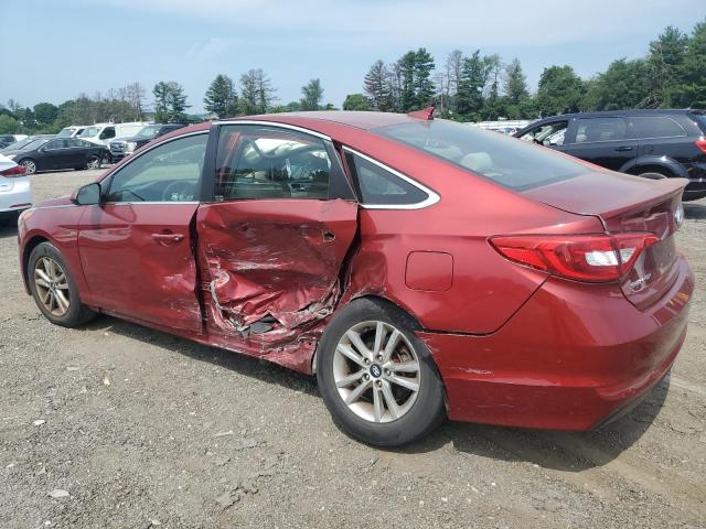 Photo 1 VIN: 5NPE24AF2FH121702 - HYUNDAI SONATA 