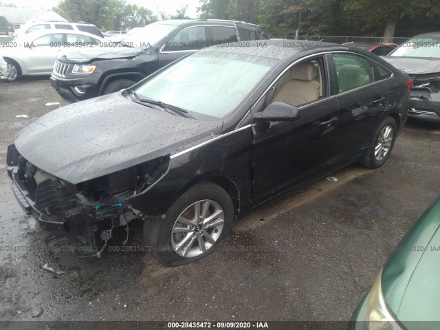 Photo 1 VIN: 5NPE24AF2FH145868 - HYUNDAI SONATA 