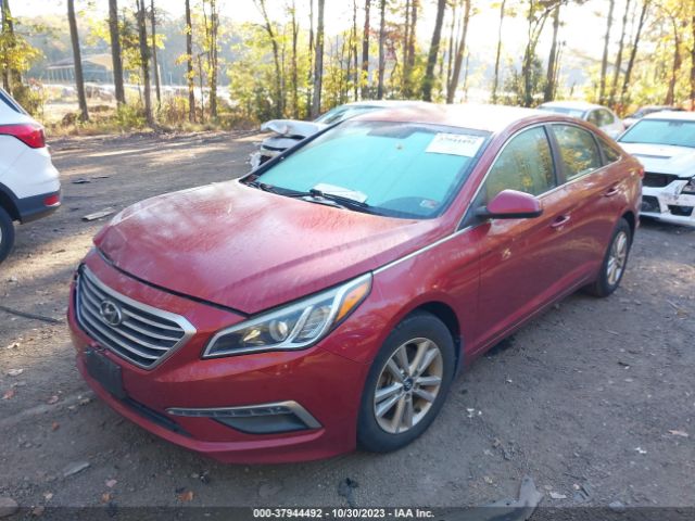 Photo 1 VIN: 5NPE24AF2FH146356 - HYUNDAI SONATA 