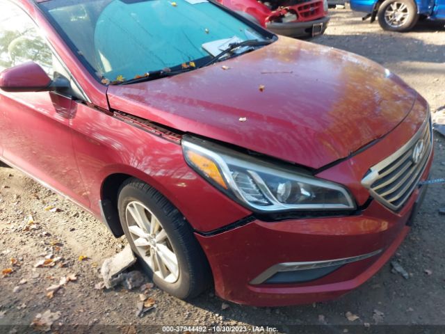 Photo 5 VIN: 5NPE24AF2FH146356 - HYUNDAI SONATA 