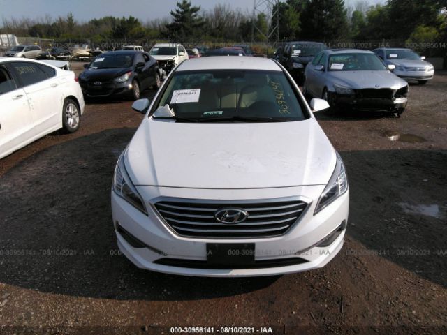 Photo 5 VIN: 5NPE24AF2FH169331 - HYUNDAI SONATA 