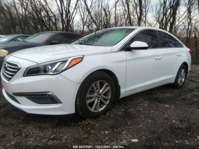 Photo 1 VIN: 5NPE24AF2FH181494 - HYUNDAI SONATA 