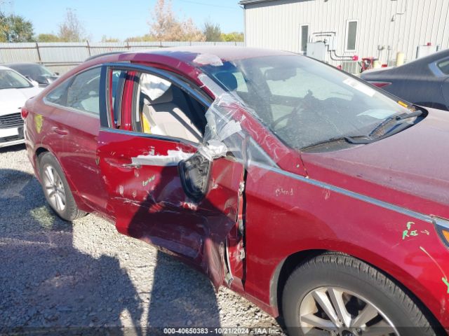 Photo 5 VIN: 5NPE24AF2FH249678 - HYUNDAI SONATA 