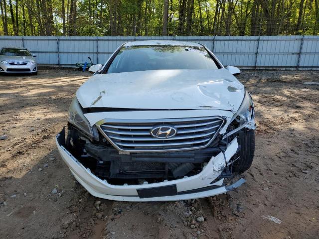 Photo 4 VIN: 5NPE24AF2GH266014 - HYUNDAI SONATA 