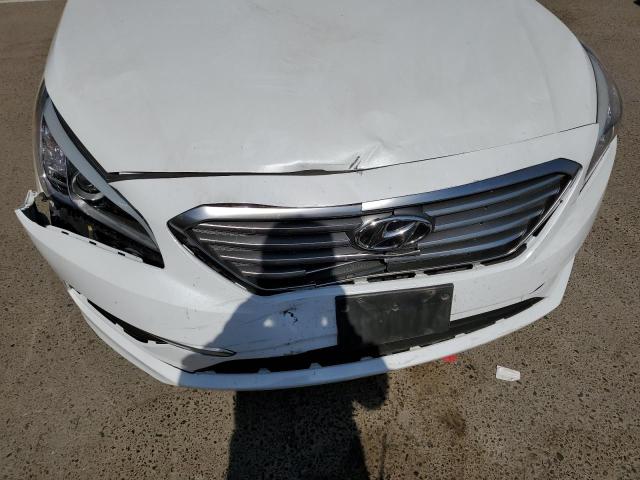 Photo 8 VIN: 5NPE24AF2GH276297 - HYUNDAI SONATA SE 