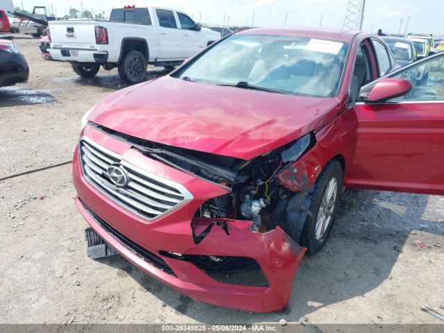 Photo 5 VIN: 5NPE24AF2GH276669 - HYUNDAI SONATA 