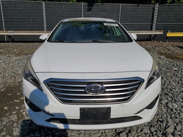 Photo 4 VIN: 5NPE24AF2GH279815 - HYUNDAI SONATA 