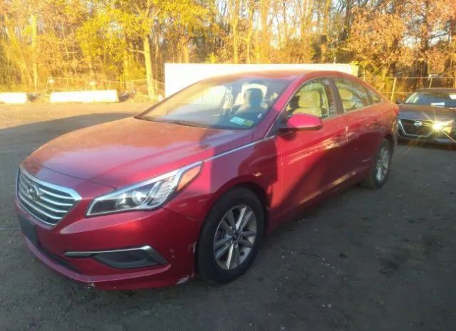 Photo 5 VIN: 5NPE24AF2GH296923 - HYUNDAI SONATA 