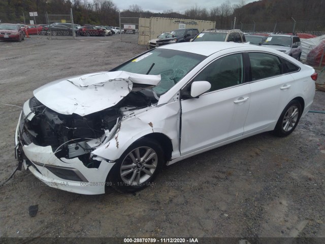 Photo 1 VIN: 5NPE24AF2GH300310 - HYUNDAI SONATA 