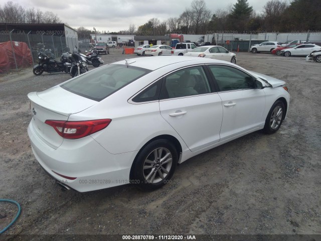 Photo 3 VIN: 5NPE24AF2GH300310 - HYUNDAI SONATA 