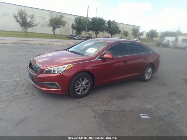 Photo 1 VIN: 5NPE24AF2GH303644 - HYUNDAI SONATA 