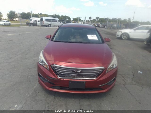 Photo 5 VIN: 5NPE24AF2GH303644 - HYUNDAI SONATA 