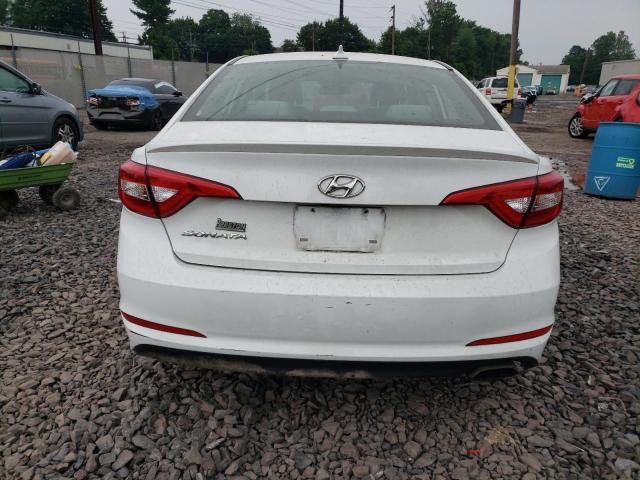 Photo 5 VIN: 5NPE24AF2GH311923 - HYUNDAI SONATA SE 