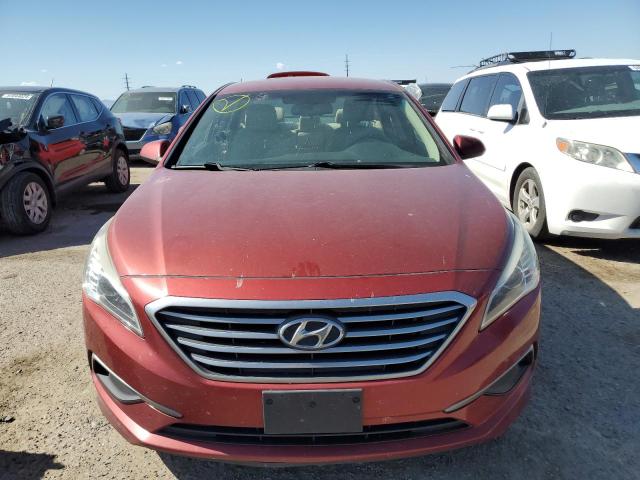 Photo 4 VIN: 5NPE24AF2GH314532 - HYUNDAI SONATA SE 