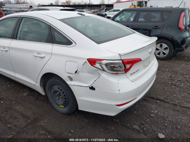 Photo 5 VIN: 5NPE24AF2GH316359 - HYUNDAI SONATA 