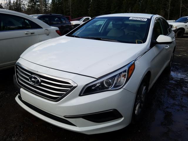 Photo 1 VIN: 5NPE24AF2GH337700 - HYUNDAI SONATA SE 