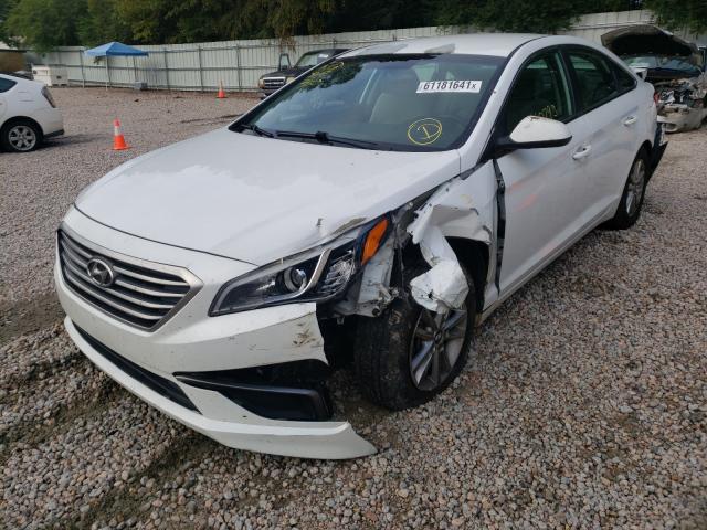 Photo 1 VIN: 5NPE24AF2GH339852 - HYUNDAI SONATA SE 