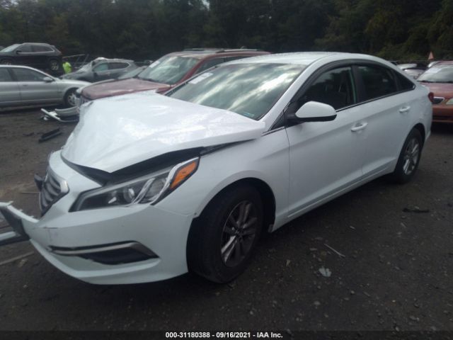 Photo 1 VIN: 5NPE24AF2GH350107 - HYUNDAI SONATA 