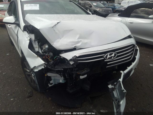 Photo 5 VIN: 5NPE24AF2GH350107 - HYUNDAI SONATA 