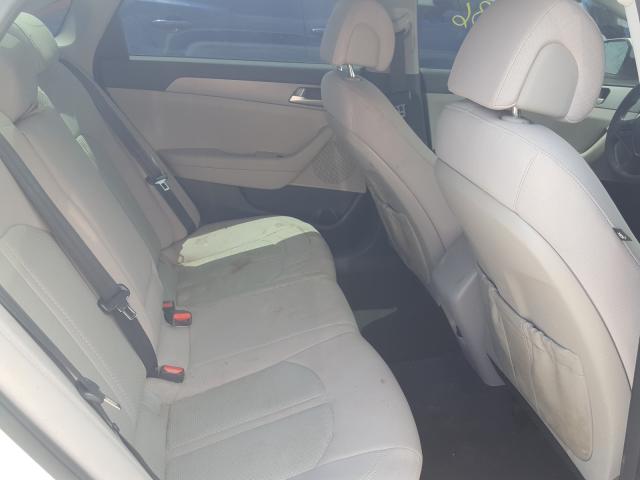 Photo 5 VIN: 5NPE24AF2GH350852 - HYUNDAI SONATA SE 