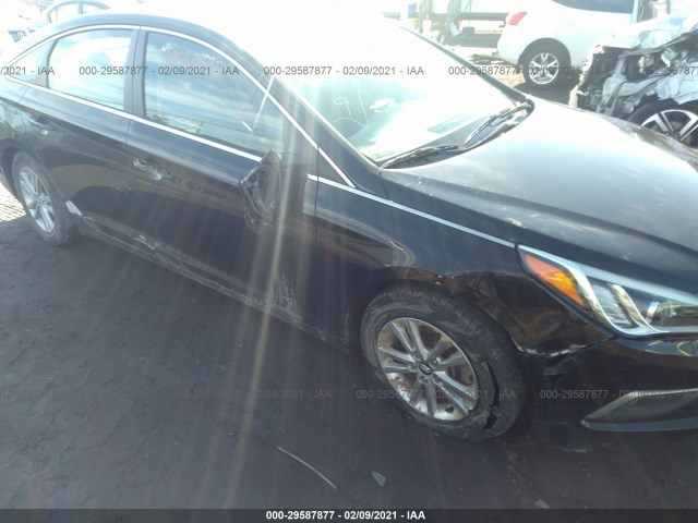 Photo 5 VIN: 5NPE24AF2GH358191 - HYUNDAI SONATA 