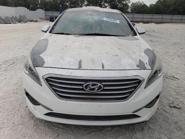 Photo 4 VIN: 5NPE24AF2GH373323 - HYUNDAI SONATA SE 