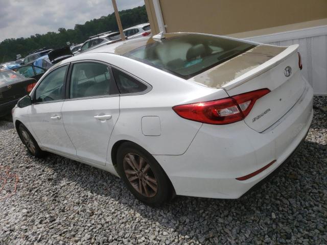 Photo 1 VIN: 5NPE24AF2GH384810 - HYUNDAI SONATA SE 