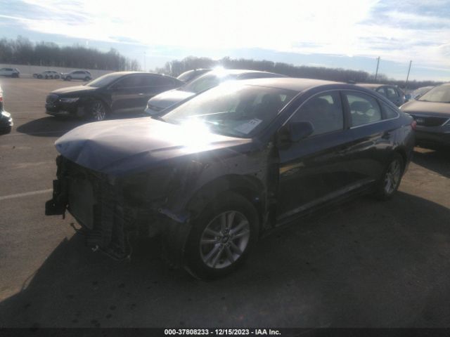 Photo 1 VIN: 5NPE24AF2GH386184 - HYUNDAI SONATA 