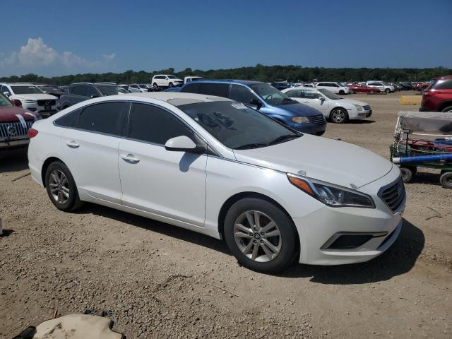 Photo 3 VIN: 5NPE24AF2GH392549 - HYUNDAI SONATA SE 