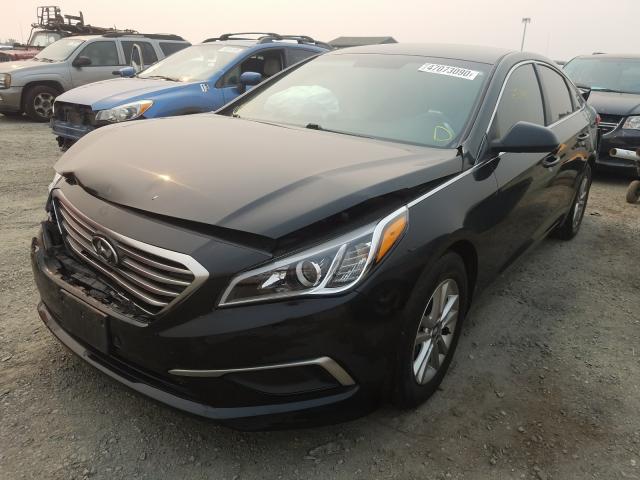 Photo 1 VIN: 5NPE24AF2GH395144 - HYUNDAI SONATA SE 