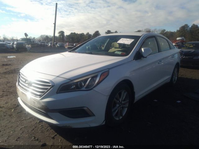 Photo 1 VIN: 5NPE24AF2GH399632 - HYUNDAI SONATA 