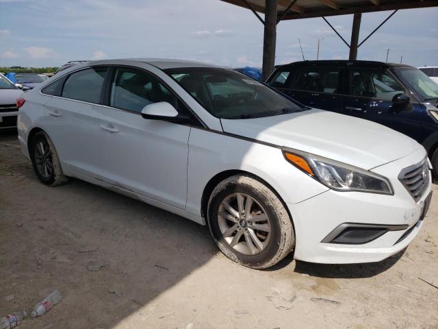 Photo 3 VIN: 5NPE24AF2GH411097 - HYUNDAI SONATA SE 